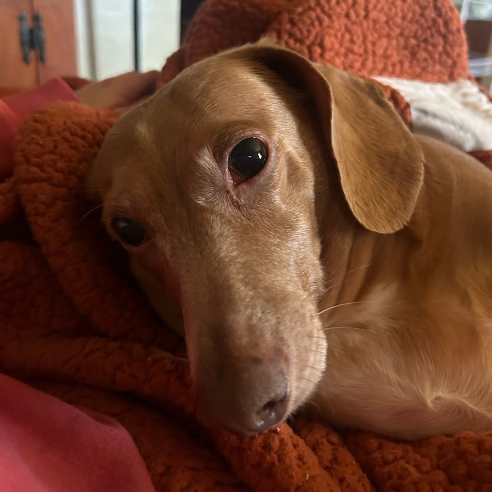 Meet your Posher, Lynn